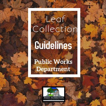 Leaf Collection Guidelines