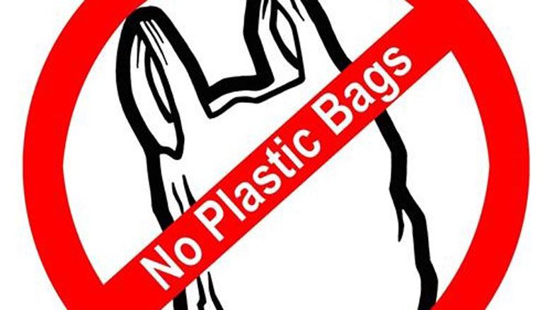 NEWplasticbagban-500x439