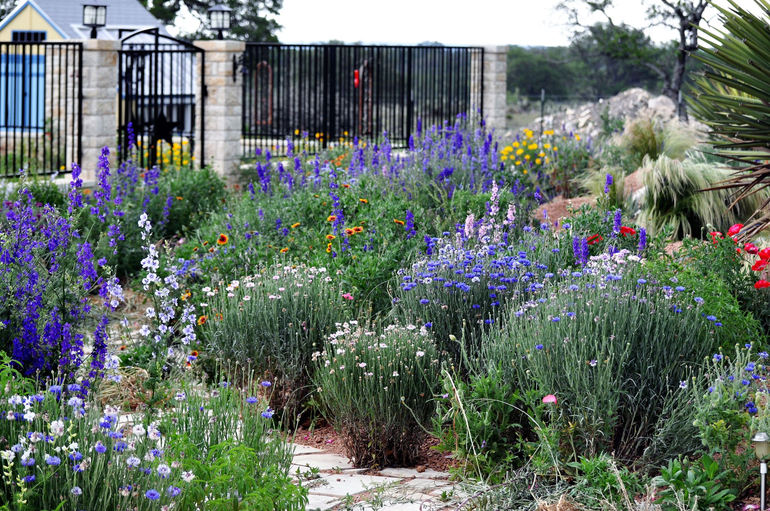 MaryFrushour_garden-3