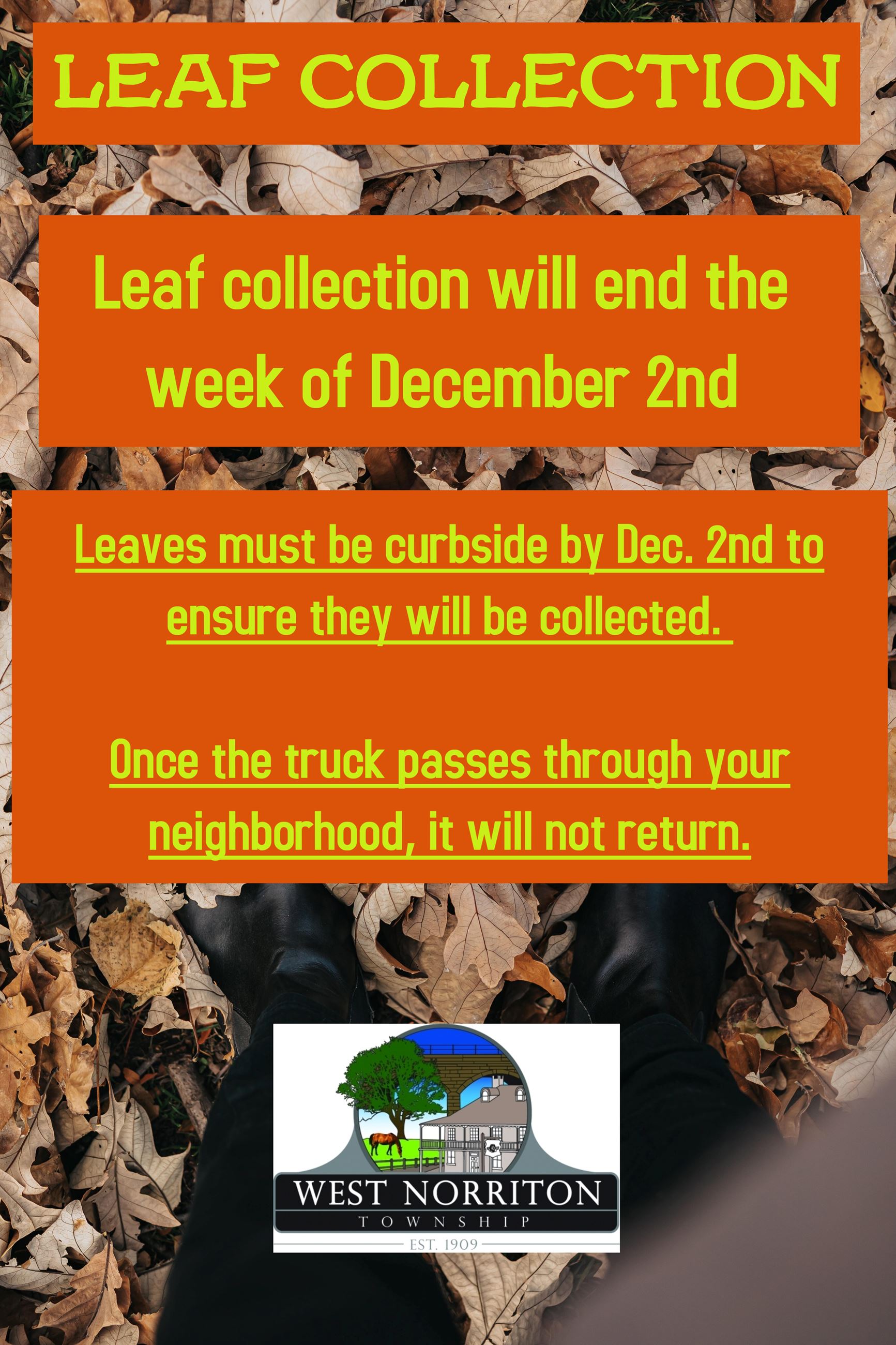 Leaf Collection 2024